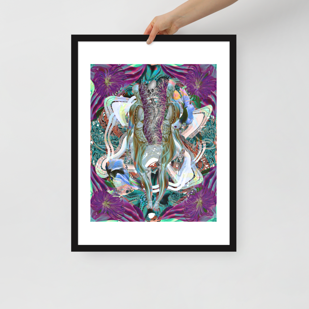 Truth and Illusions Framed poster